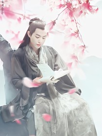 哦，我的皇帝陛下之撩王爺