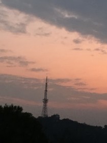 竹蜻蜓