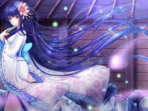 查理九世之不凡的少女