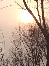 我喜欢你（夕阳）
