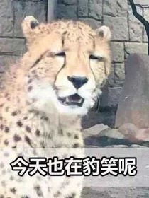 爛作品的那些年
