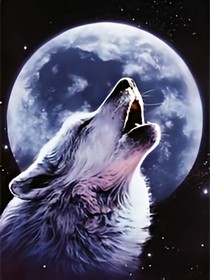 狼王梦之紫梦