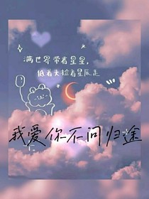 我爱你不问归途