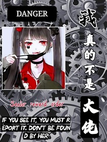 我真的不是大佬