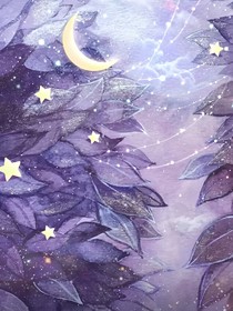 夜空群星璀璨