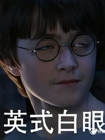 HP之初恋家族二（余姚至爱）