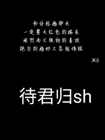 待君归sh