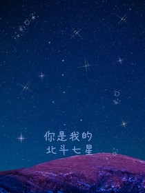 你是我的北斗七星啊