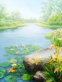 琴与梦