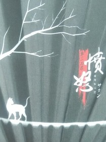 作者的练打字籍