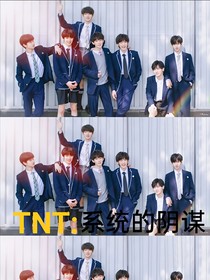 TNT：系統(tǒng)的陰謀