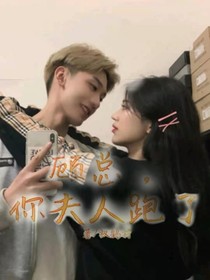 顾总，夫人跑了