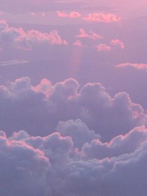 七月晨曦-d231