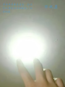 组团宠小朋友