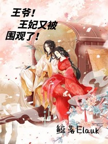 王爷，王妃又被围观了！