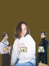 BTS：狐狸雨