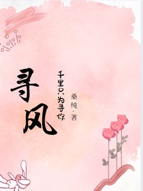 寻风……