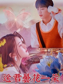 送君昙花一朵