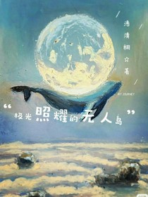 极光照耀的无人岛