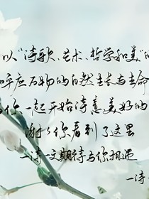 千叶有归