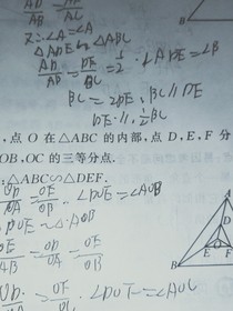 那个大陆