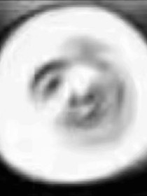 氏族崛起