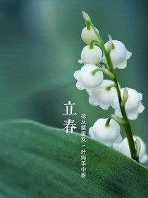 图纸世界