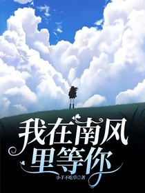 我在南风里等你