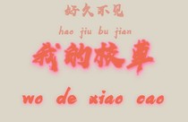 好久不見(jiàn)，我的校草
