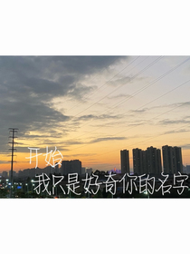 开始，我只是好奇你的名字
