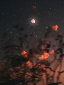 百岁无忧