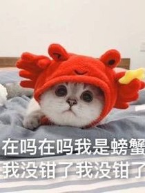 五千出奇跡