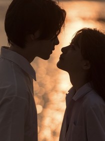 她是他的星辰