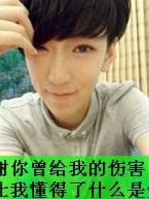 霸道总裁毁灭记