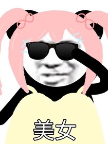 总裁日记
