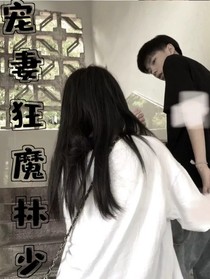 宠妻狂魔林少