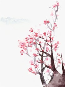 庵桃源
