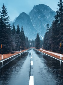 贺少的洛洛又哑又甜