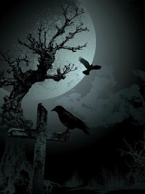 雙界法則
