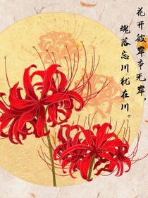 快穿之弥