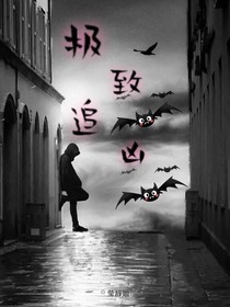 极致追凶-d945