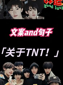 关于TNT！