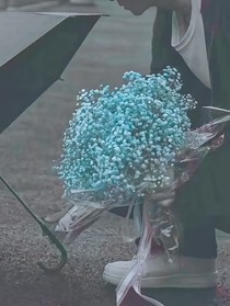 爱与山海皆可平