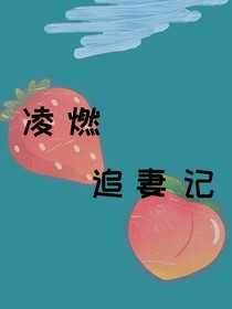 凌燃追妻記
