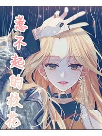 惹不起的校花