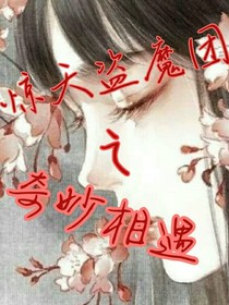 惊天盗魔团之奇妙相遇