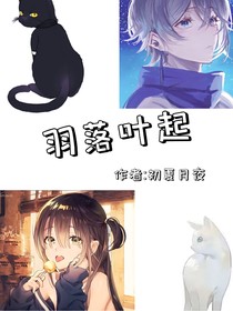 穿越名柯：羽落叶起