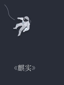 麒实