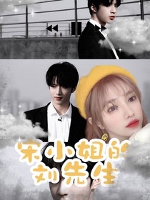 宋小姐的劉先生