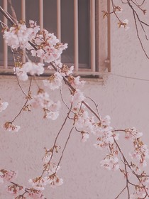 你不知道的國(guó)家寶藏